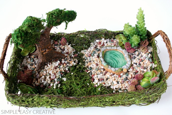 Add succulents to Fairy Garden