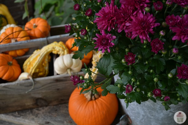 Fall Outdoor Decorating: Window Boxes