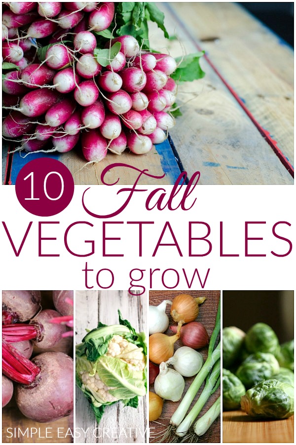 Fall Vegetables