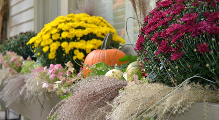 Fall Outdoor Decorating: Window Boxes