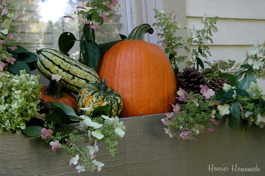 Decorating Fall Window Boxes