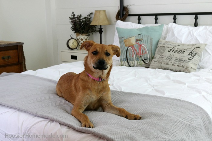 Farmhouse Decor: Bedroom