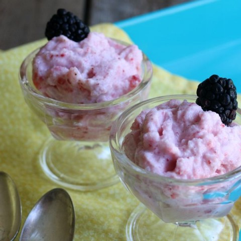 Frozen Fruit Slush Recipe with Ice Cream
