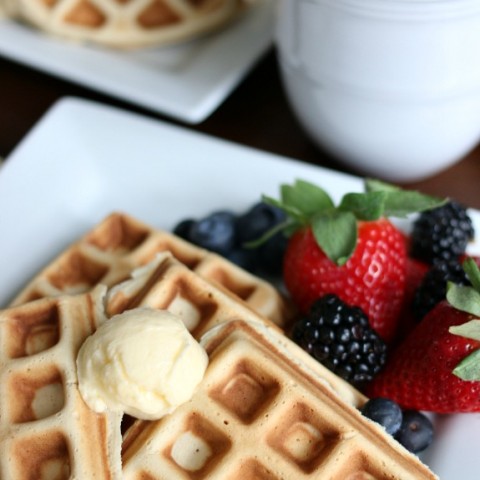Sugar Free Hazelnut Waffles - a light fluffy waffle with delicious Hazelnut flavor. You will never know they are Sugar Free! Pin to your Recipe Board!