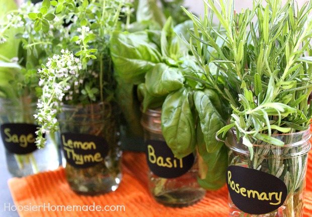 Fresh Herbs :: Preserving and Drying :: on HoosierHomemade.com