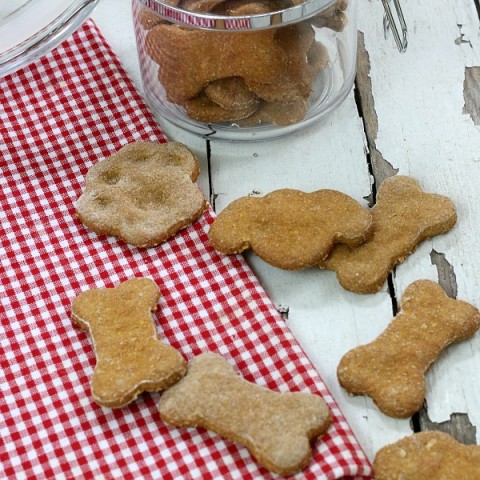 HOMEMADE DOG TREATS -- Your dog will LOVE these easy to make homemade dog treats! Filled with good ingredients like pumpkin, peanut butter, oats and more!