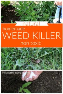 Homemade Weed Killer - Hoosier Homemade