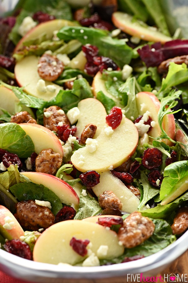 Apple Cranberry Holiday Salad