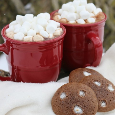 Hot Cocoa Cookies