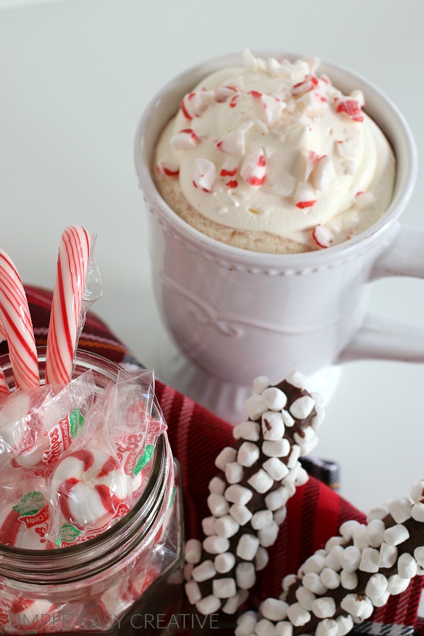 Hot Chocolate Recipe with Cocoa Powder