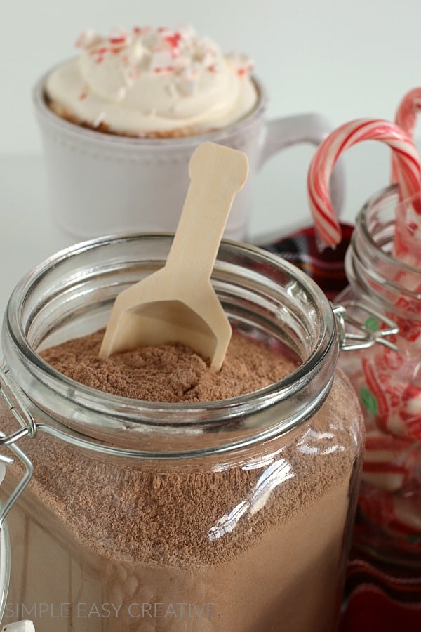 https://hoosierhomemade.com/wp-content/uploads/Hot-Cocoa-Recipe-V4.jpg