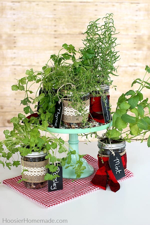 Mason Jars with Herbs for Indoor Gardening 