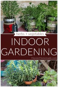 Indoor Gardening - Hoosier Homemade