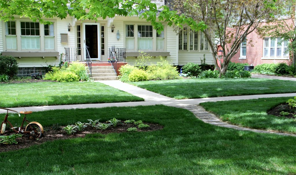 10 Rules Every Homeowner Should Follow When Landscaping ...