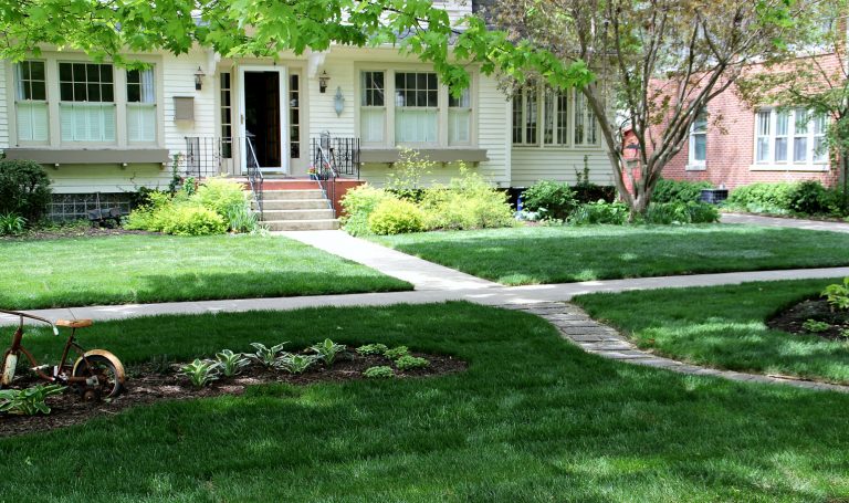 10 Rules Every Homeowner Should Follow When Landscaping
