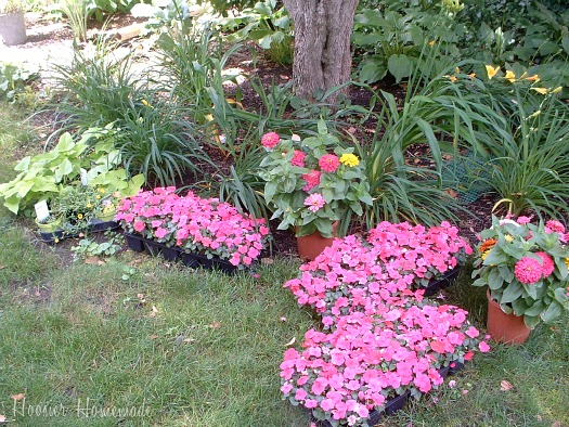 Planting Flowers for Curb Appeal - Hoosier Homemade