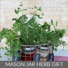 Mason Jar Herb Garden Gift Idea