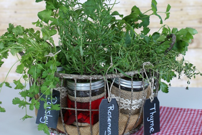 Mason Jar Herb Garden