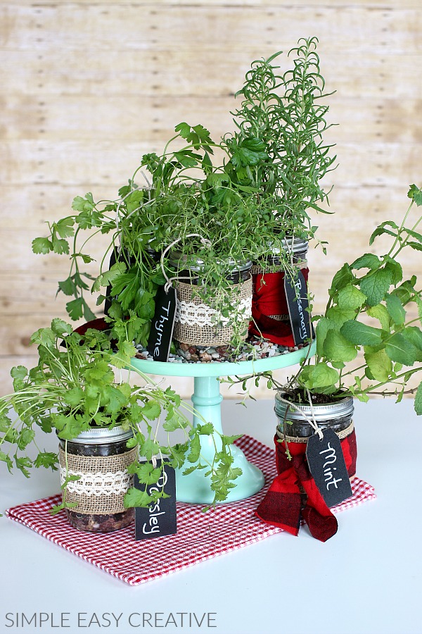 Mason Jar Herb Garden