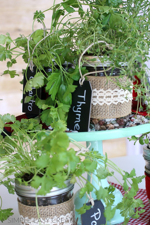 Mason Jar Herbs