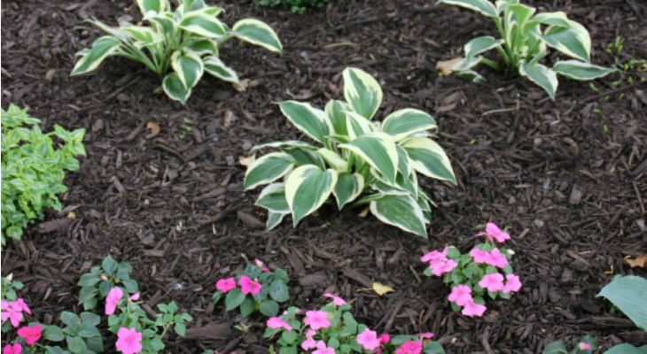 How To Choose And Apply Mulch to Your Flower Beds