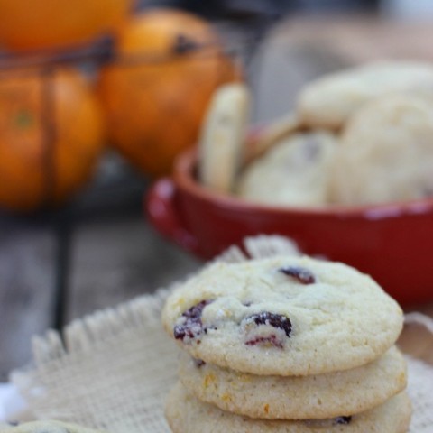 Orange Cranberry Cookies