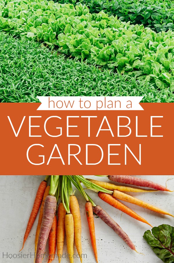 Planning a Vegetable Garden