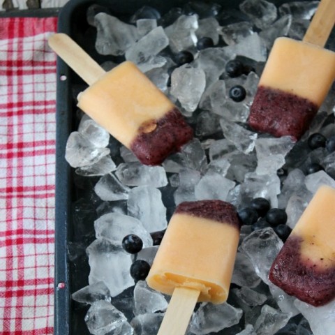 Homemade Fresh Fruit Popsicles