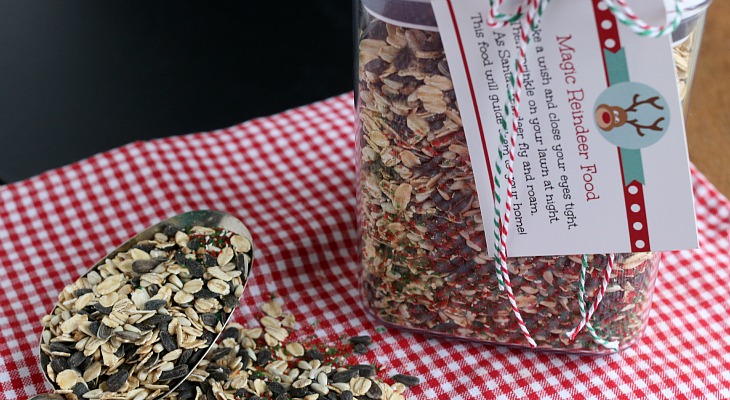 Magical Reindeer Food Hoosier Homemade   Reindeer Food.feature 