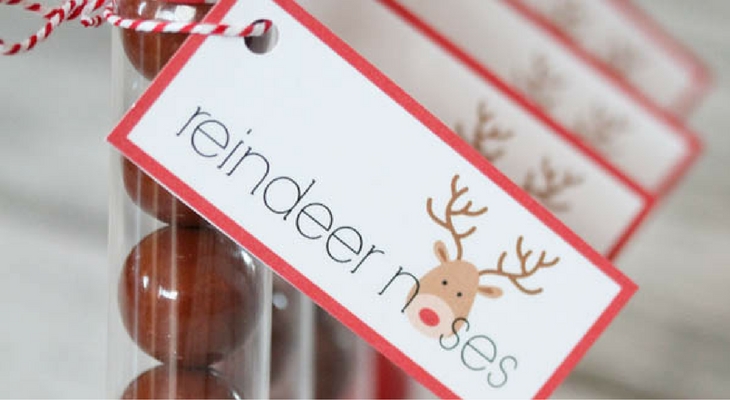 Reindeer Noses – 100 Days of Homemade Holiday Inspiration