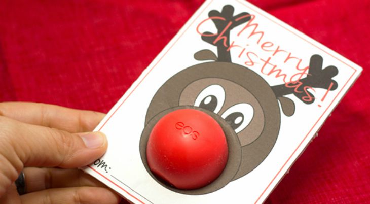 Rudolph Christmas Gift: Holiday Inspiration