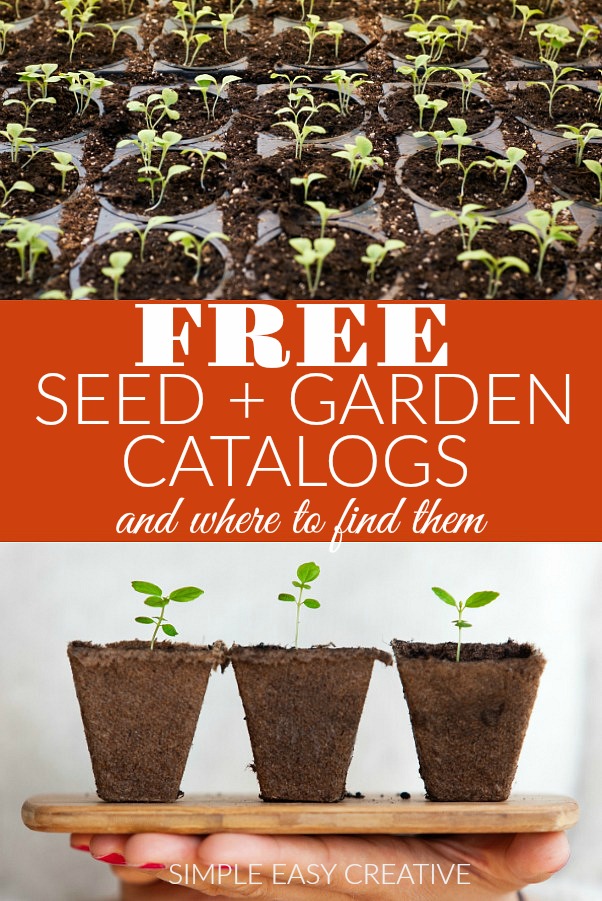 Seed Garden Catalogs