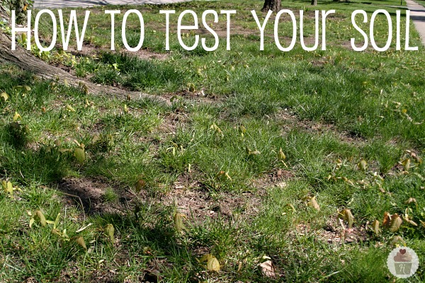 Soil Testing Your Lawn