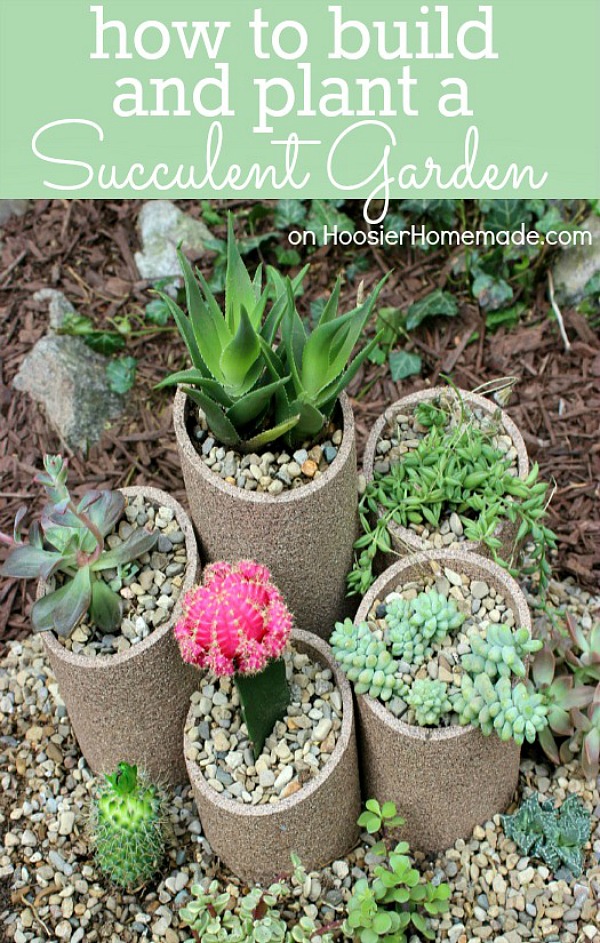 How to Build and Plant a Succulent Garden - Hoosier Homemade