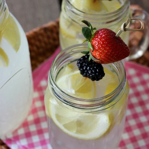 Sugar-Free Fresh Squeezed Lemonade