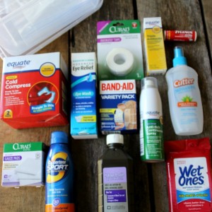 Summer Survival Kit - Hoosier Homemade