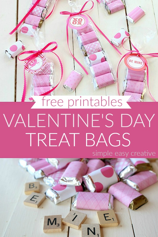 Treat Bags for Valentine's Day