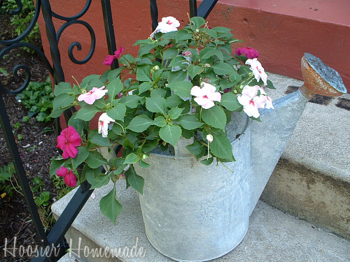 Antique Watering Can with Flowers