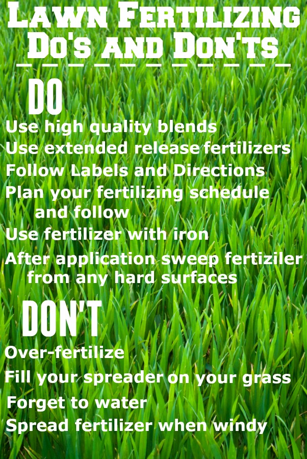 lawn fertilizer schedule