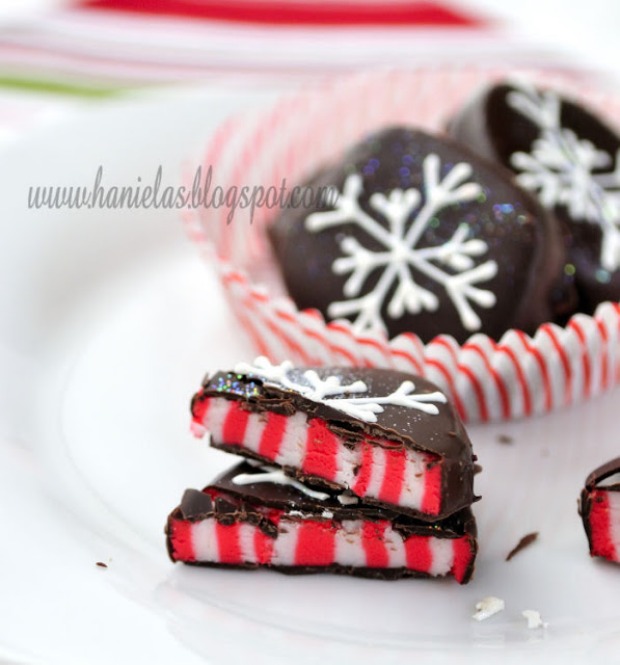 Candy Cane Peppermint Patties : 100 Days of Homemade Holiday Inspiration