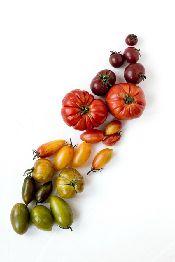 Various Heirloom Tomatoes in colors ranging from green, yellow,red and purple