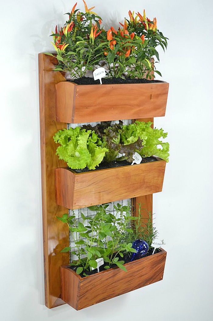 Vertical Garden